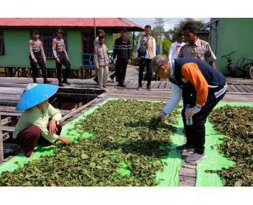 Indonesian Governor Hopes Kratom Prices Can Increase for Farmers